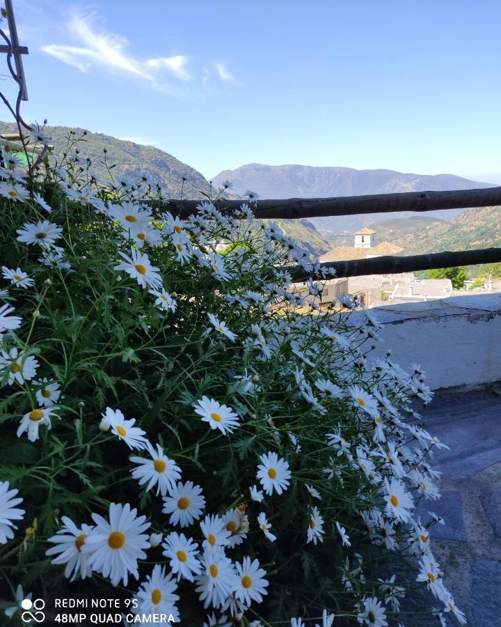 Country house Encarnita Bubion