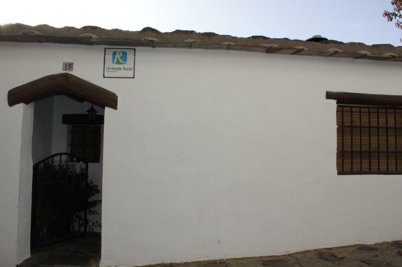Encarnita